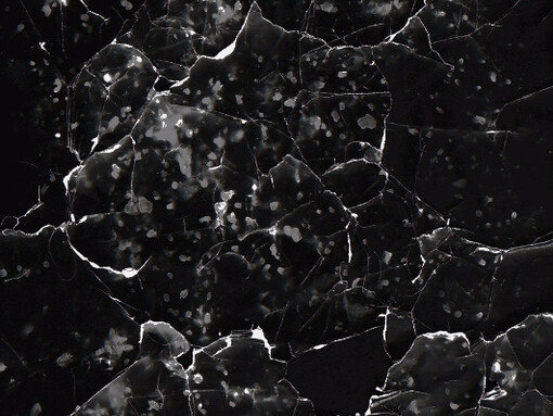 Dark Waters. Courtesy of Denny Gallery