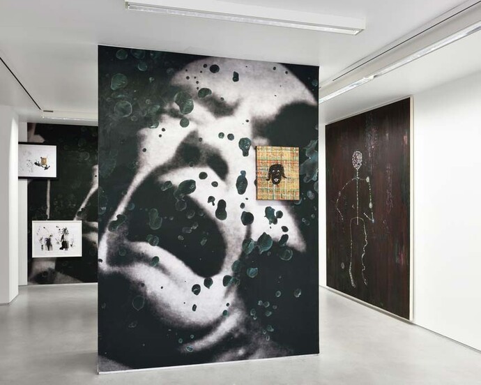 Moi qui adore Barnett Newman, on peut dire qu'on en est loin, Exhibition view. Courtesy of Galerie Christophe Gaillard