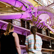 WA treasures, exhibition view. Courtesy of Western Australian Museum