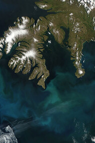 Floración de fitoplancton en el hemisferio norte vista desde el espacio (NASA)