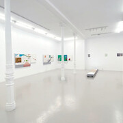 Raúl Silva, Naturalización técnica. Tecnificación natural, vista de exhibición. Cortesía de F2 Galería