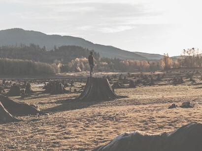 Silhouette of person standing on wood stump