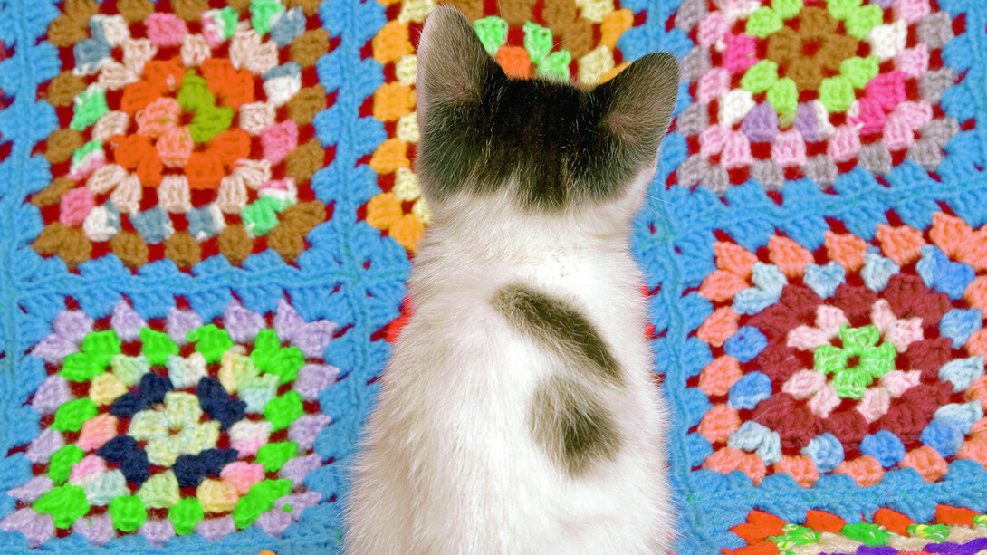 Arne Svenson, Strays 27 (detail), 2010. Courtesy of Robert Klein Gallery