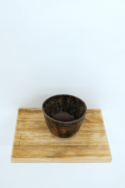 Caroline Le Méhauté et Isabella Soupart, Tellus project, vue d'exposition. Avec l'aimable autorisation de la Centrale for contemporary art