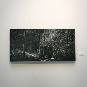 Todd Carpenter. Courtesy of KP Projects