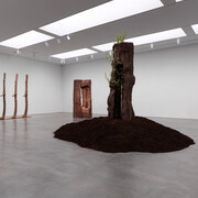 Giuseppe Penone, The reflection of bronze, exhibition view. Courtesy of Gagosian