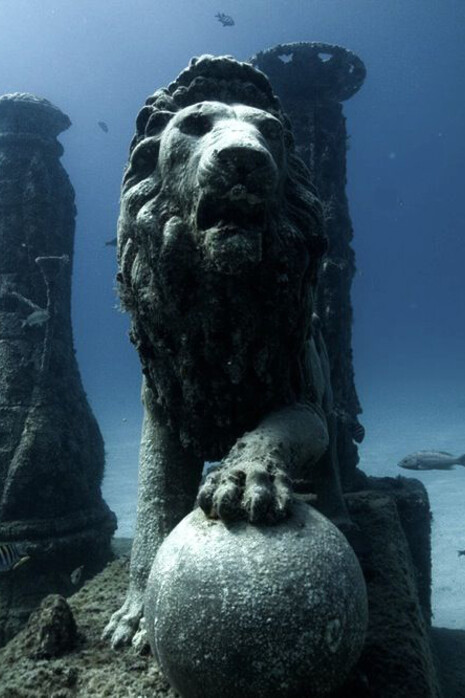 Neptune Memorial Reef, Key Biscayne, Florida