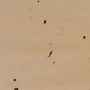 Archives Raoul De Keyser. Courtesy of S.M.A.K.