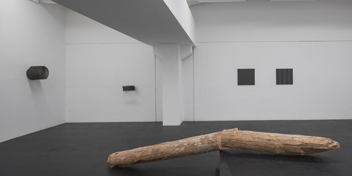 Locus Rei, Exhibition view. Courtesy of Galleria Doris Ghetta