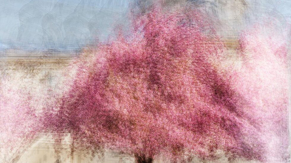 Jacob Gils, Paris #5 (detail). Courtesy of In The Gallery