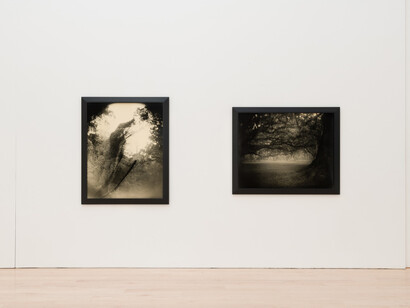 Sally Mann. Courtesy of Gagosian