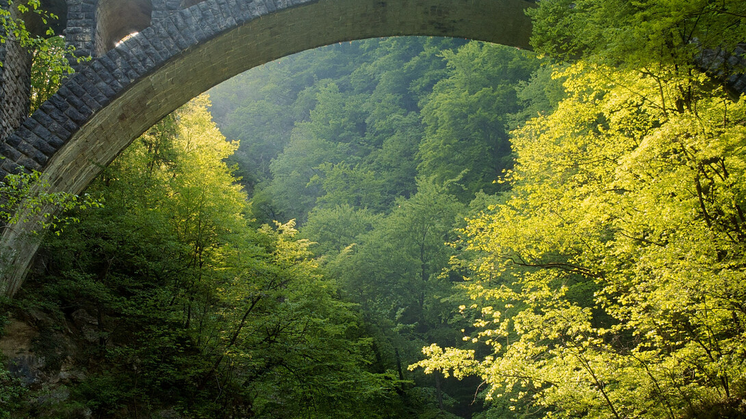 La degeometría aprende del bosque. Y el bosque no tiene autor. Puente en la garganta de Vintgar. Desfiladero de Vintgar, también conocido como desfiladero de Bled, de 1,6 kilómetros de longitud situado en los municipios de Gorje y Bled al noroeste de Eslovenia