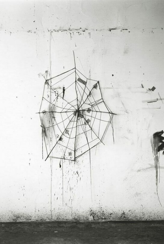 Saul Fletcher, Untitled #276 (Spider Web), 2013, Silver gelatin print, 6 7/8 x 5 7/16 inches, Courtesy Anton Kern Gallery, New York