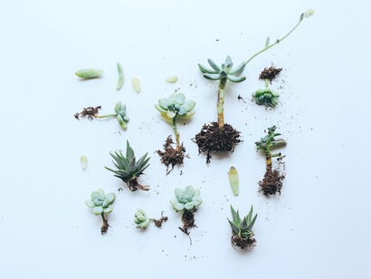 La sostenibilidad ha pasado a ser un aspecto clave para atraer a grandes inversores institucionales a comprar acciones de una compañía