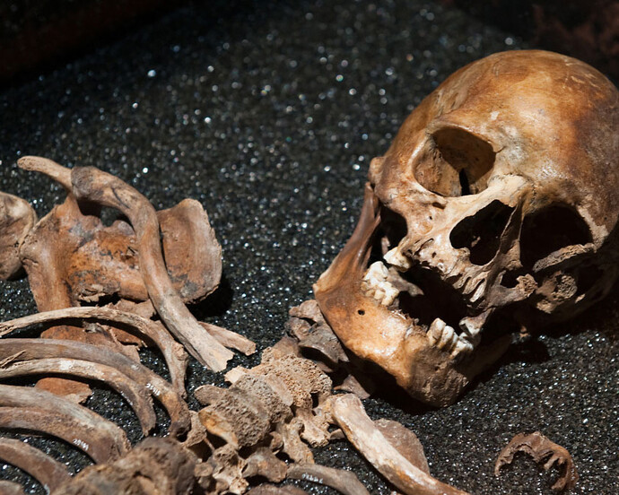 Find in Focus. Courtesy of The Vasa Museum 