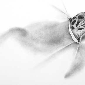 Massimiliano Galliani, Attraverso #18, 2018, matita su carta Fabriano, cm 50x70