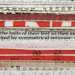 ERICA BAUM
Swirl Retinues, 2013
Archival pigment print
14 7/10 x 18 in.
Courtesy: The Artist and Bureau Gallery, NYC.