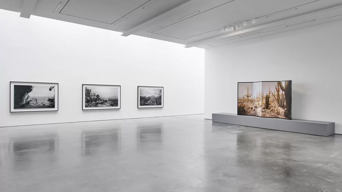 Hiroshi Sugimoto, Unnatural habitat, exhibition view. Courtesy of Lisson Gallery