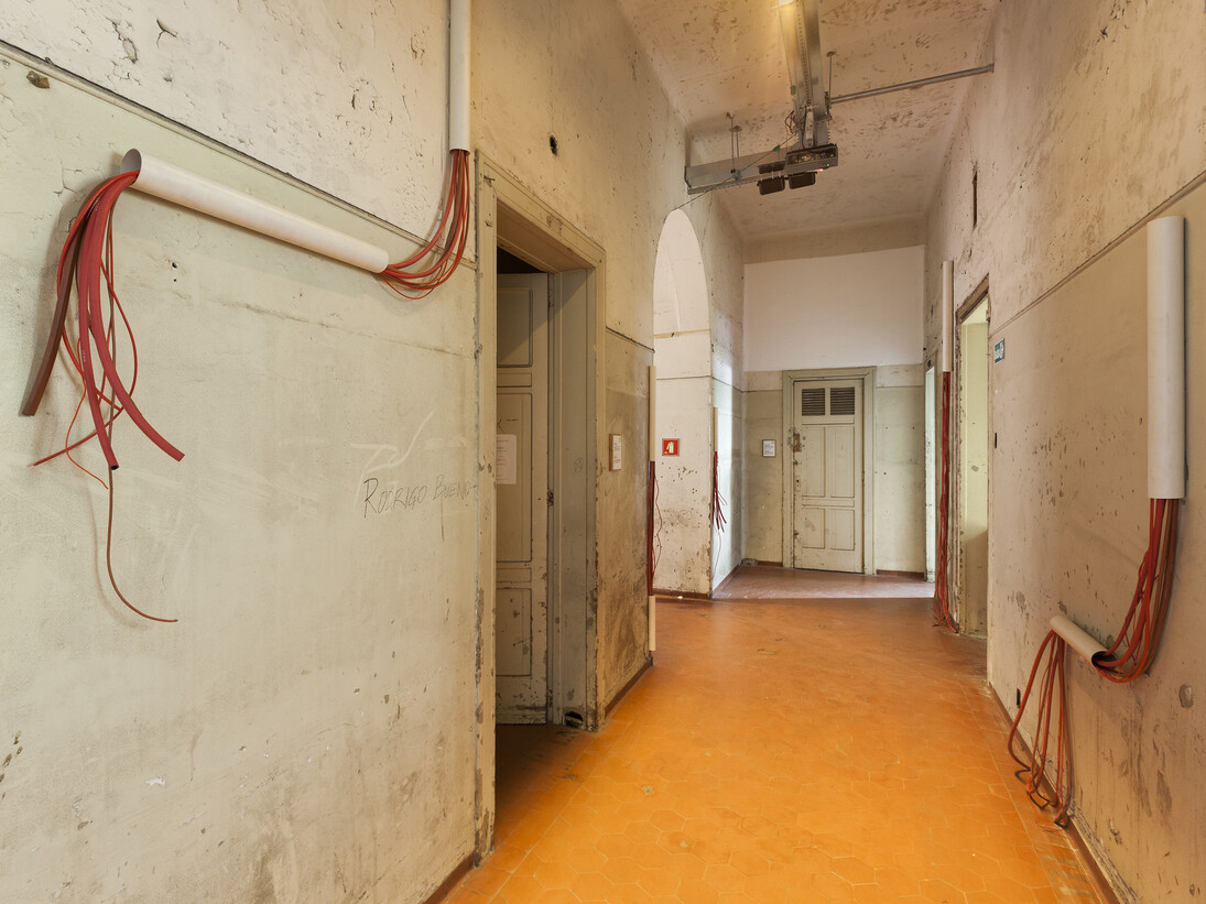 Lia Chaia, From Transfusão series, 2014, Installation, Variable dimensions, Photo: Ding Musa