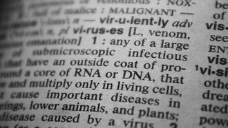 Fragmento de dicionário em que se lê definições sobre RNA e DNA