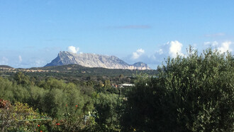 Consapevoli follie