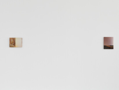 Pieter Vermeersch, Double trouble, exhibition view. Courtesy of Galerie Greta Meert 