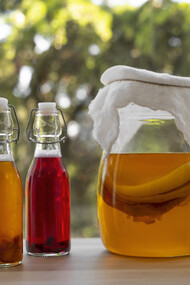 An artful still life composition featuring a bottle of kombucha