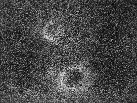 Double Ring Spot #2, 2015, Copper plate etching, Rives BFK White paper, Black and Cobalt Blue Charbonnel. Edition 1/8 + 2 AP. Image: 3 x 4 inches, Paper: 9 x 9 inches