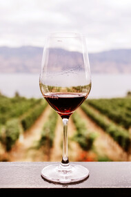 L’eccellenza del vino italiano