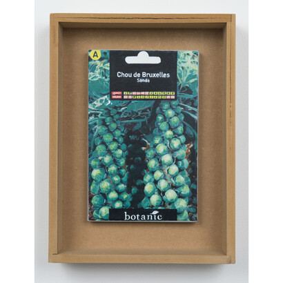 Jef Geys, Chou de Bruxelles (Sanda), 2009, oil on canvas in wooden frame, 35,5 x 26,5 x 7 cm
© photo Marc Domage, Courtesy Air de Paris, Paris
