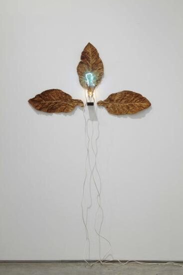 Pier Paolo Calzolari, Untitled (Occhio di Dio), 1971
Tobacco, neon, transformer and candle, 81 x 45 1/4 x 3.15 inches  206 x 115 x 8 cm