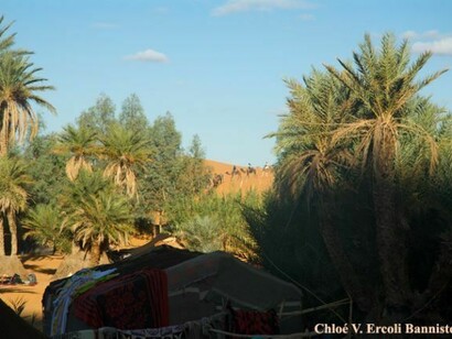 Oasis in Morocco