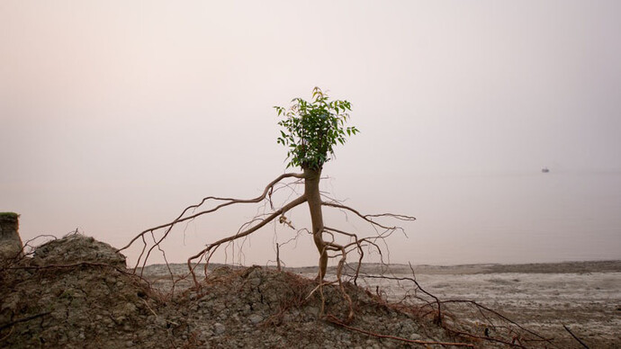 Daesung Lee, serie Ghoramara, On the shore of a vanishing island, 2013, pigment print on canson fine art 6 