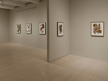Irving Penn. Courtesy of Pace Gallery