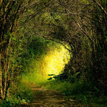 Ogni poesia è uno specchio che riflette verità nascoste e dona chiarezza interiore