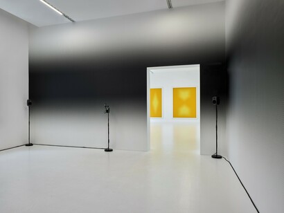 K21 collection, exhibition view. Courtesy of Kunstsammlung Nordrhein-Westfalen
