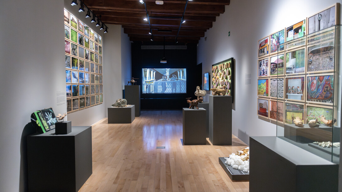 Sandra Rozental, Emilio Chapela y Eduardo Abaroa, Estelas del Usumacinta, vista de exhibición. Cortesía del Museo Amparo