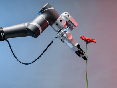 Hoje, a velocidade é o acesso à informação, ou o que chamamos de internet