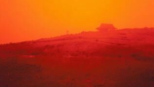 The Yokohama Project. Courtesy of Magda Danysz Gallery