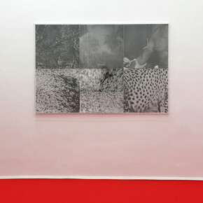 Frida Orupabo
Untitled, 2018
framed pigment prints on acid free semigloss cottonpaper
116 x 174 x 6 cm
Ed 1/3 + 1 AP 
Courtesy KOENIG2 by_ robbygreif, Vienna and the artist 
© Photo: Philipp Friedrich
