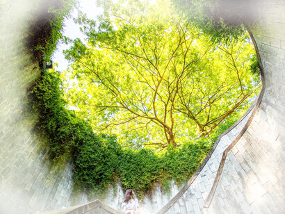 A girl in Canning Rise, Fort Canning Park Tree Tunnel, Singapore. Universal values must be cultivated to keep the world, social and individual peace