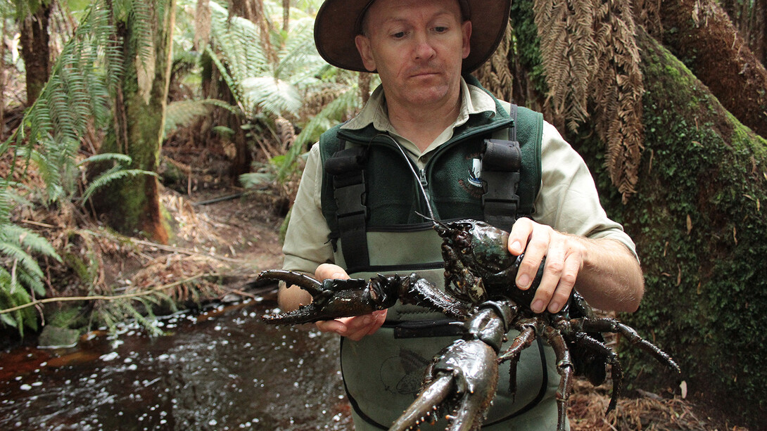 «A gentle giant» by Mark Pearce