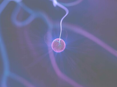 Quantum fields adaptive signal 