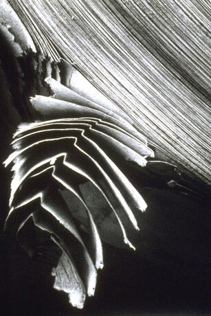 Hana Hamplová. Courtesy of FRYE