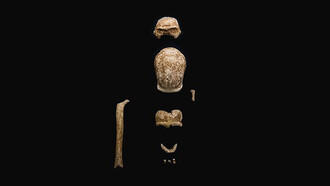 Ritrovamenti uomo di Neanderthal, grotta Guattari, Circeo, Italia, campagna scavi 2019-2021 (Ministero della Cultura)