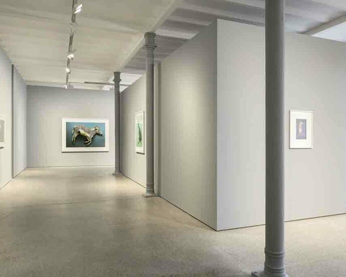 Thomas Struth. Courtesy of Galerie Greta Meert