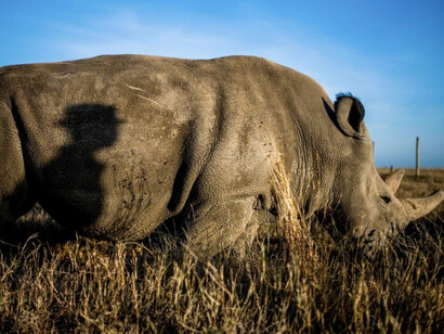 Justin Mott. Courtesy Anastasia Photo