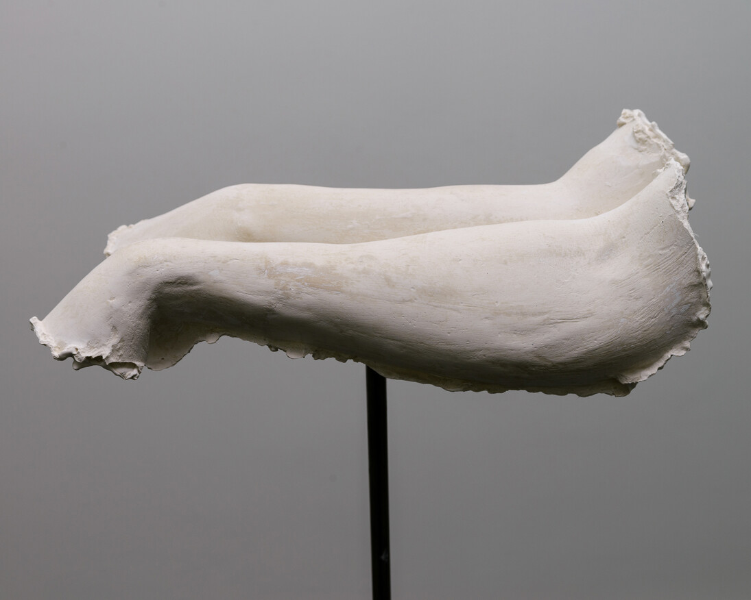 Anna Zvyagintseva. Courtesy of PinchukArtCentre