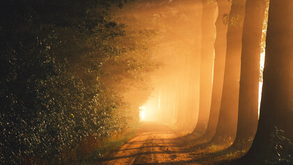 In a point of glory the stories end in wakeful light