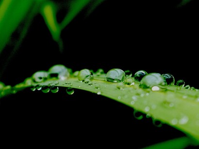 El agua, un bien a proteger